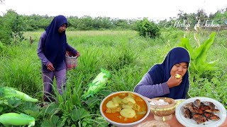 Labu air paling enak dimasak gini bikin ketagihan (water gourd) ikan tongkol goreng, masakan desa