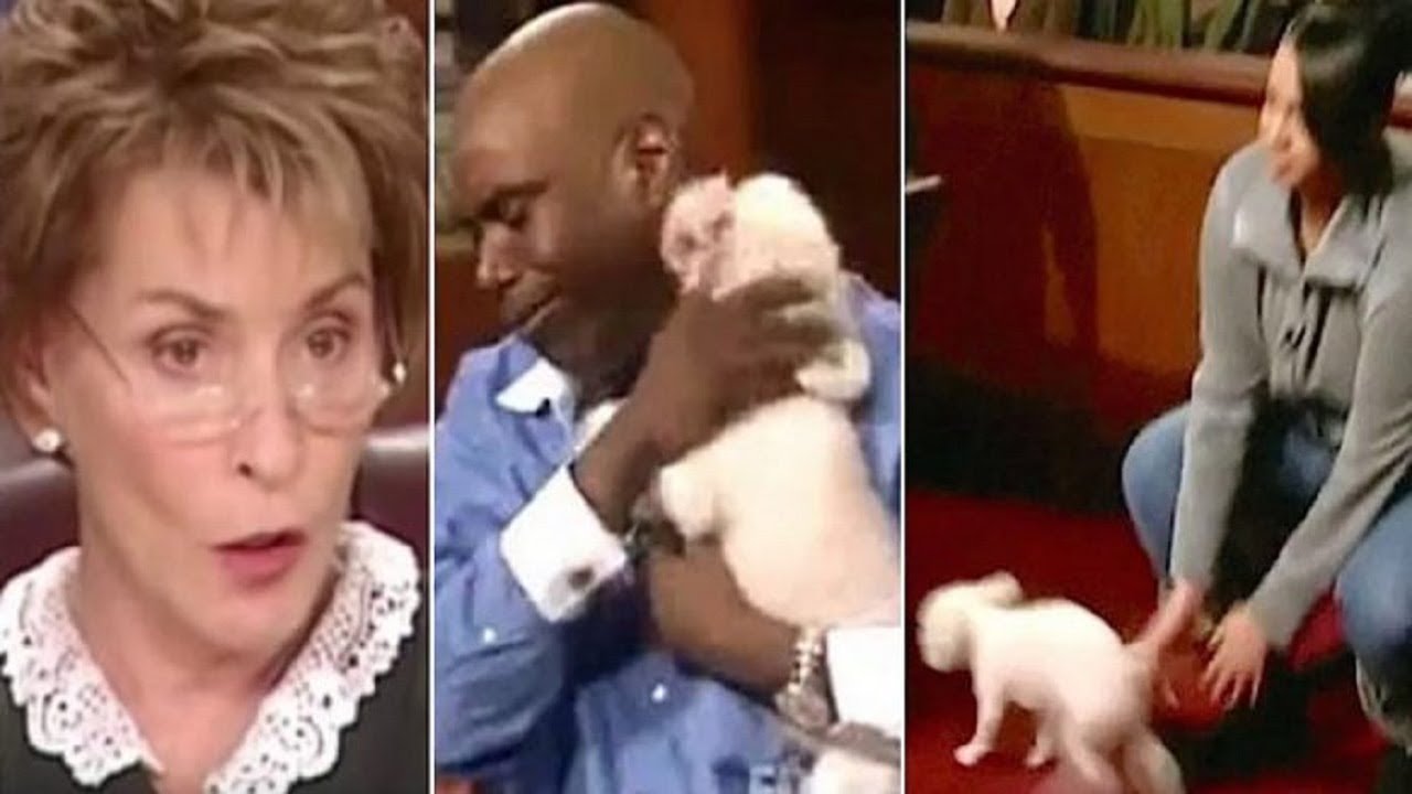 Judge Judy Lets A Stolen Dog Loose In Court So It Could Identify Its judge-judy-lets-a-stolen-dog-loose-in-court-so-it-could-identify-its