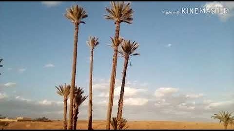 سورة البقرة (تتمة) الآية 163/156