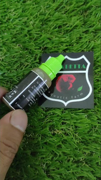 Betta Vita Vitamin Meningkatkan Stamina ikan
