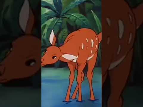 بطل الادغال موكلي