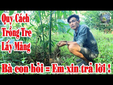 Video: Cây Tre Đen - Cách Chăm Sóc Cây Tre Đen Trong Vườn