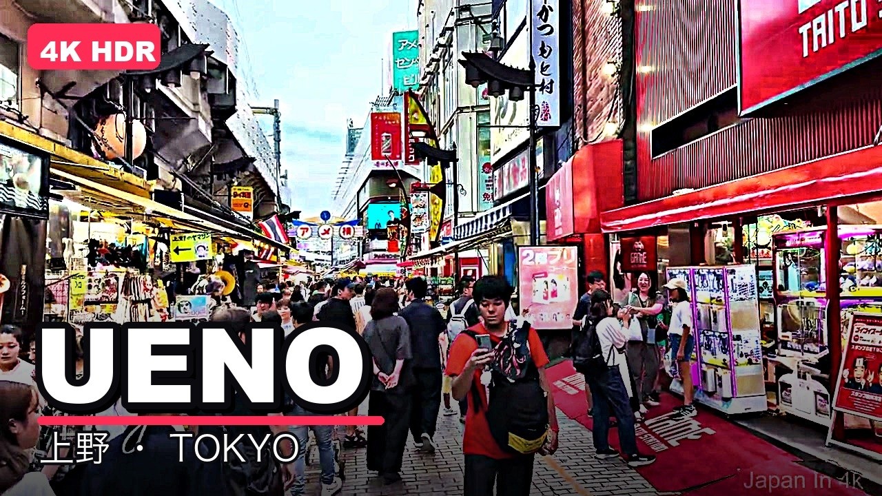 Ueno Tokyo Japan, Ameyako Market, a frame from the walk
