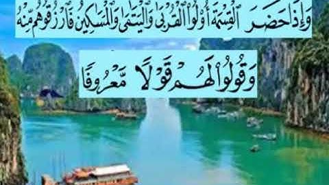 تعليم سورة النساء اية 8جمال القرش(8)