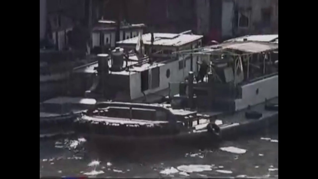 テニスコーツ - 光輪