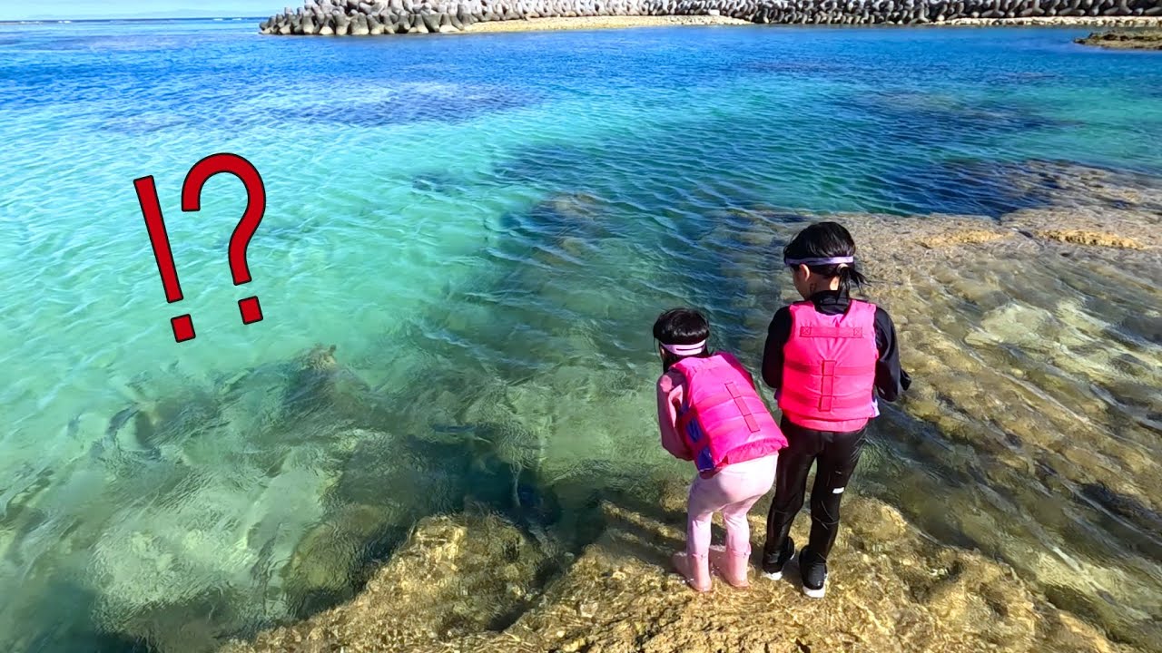 潮干狩りで泳ぐ子どもが大活躍！？宝探しのつもりが予想外の展開に…