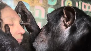 Grooming Eyes to Feet
