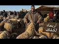 سوق اربعاء لكفاف الطيح كتر من النايض واش سوق طلع ولا طاح تفرجو حتى الاخر 