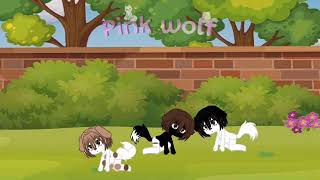 Seek them out one by one(Ft.my irl dogs I need to teach them this)