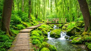 Beautiful Relaxing Music 🌿 Restore Your Nervous System, Calm Mind &amp; Sleep Deeply