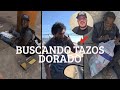 🚨 SALIMOS A BUSCAR TAZOS DORADOS CON LA  PATRULLA E.BELICA  || NO CONFUNDIMOS DE COQUETO 😦 
