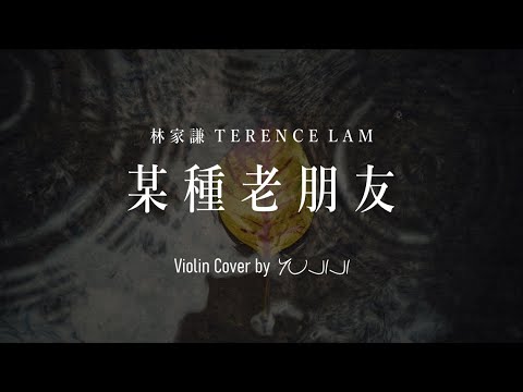 某種老朋友 (A minor) - 林家謙