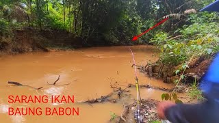 Download Lagu BEGINILAH JIKA SUNGAI INI LAGI KERUH IKAN BAUNG SANGAT GANAS  JORAN MELAYANG MP3