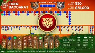 Baccarat Roadmap System Supports Game Variations Baccarat Score Board System Dragon 7 Panda 8 screenshot 3