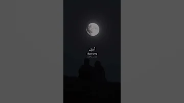 أجمل حالات واتس اب عن الحب سأظل أحبك 