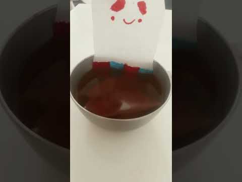 ٢٢ مايو، ٢٠٢٦