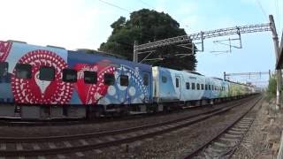 Taiwan TRA TEMU 2000 Puyuma/彩繪普悠瑪號