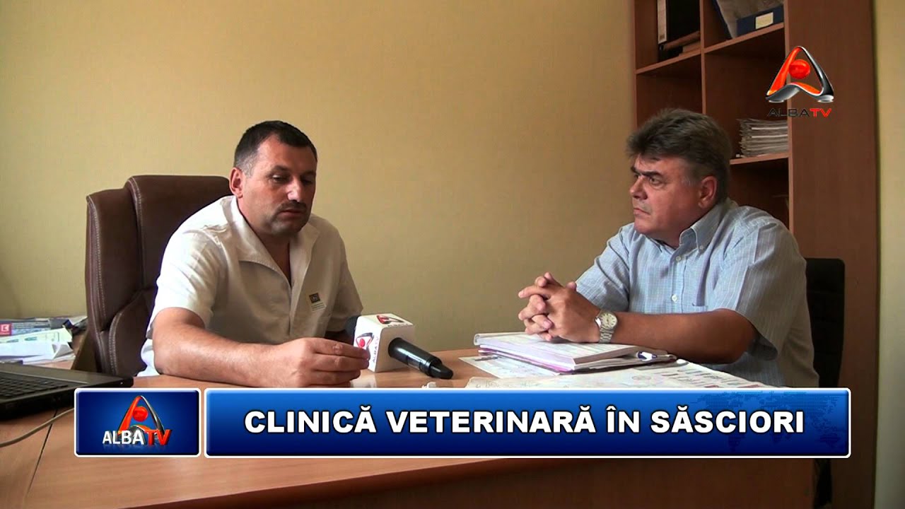 CLINICA VETERINARA IN SASCIORI YouTube