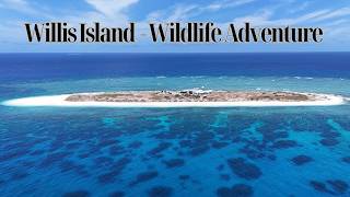 Willis Island, Coral Sea - Wildlife Adventure | 4K UHD