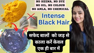 ना मेंहदी ना डाई ना तेल केवल  यें  लगा कर  बालों को काला करें | White hair to black hair | Hair Dye