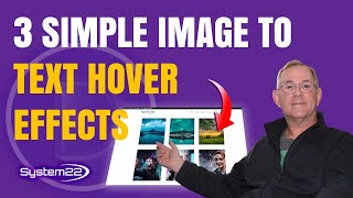 Celebrity Design Like a Pro: 3 Stunning Image-to-Text Hover Effects with Icons with the Divi Theme Net Worth
