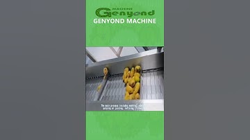 fruit washing pulping refining bottling filling machine mango juice puree pulp plant production line