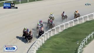 Vidéo de la course PMU RACE 14