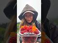 yuk kenalan sama berry dan keunikannya 🙀 #berry #buah #alam #faktaunik #faktamenarik #viral #food