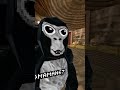 Now imagine a third one… #viral #viralvideo #gorillatag #vr #gtag #recommended #skit