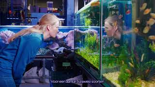 Aflevering 5 Oerwoud Onder Water