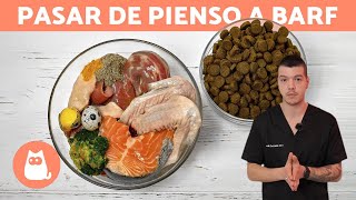 Cómo EMPEZAR la DIETA BARF con tu PERRO ✅ (3 Formas)