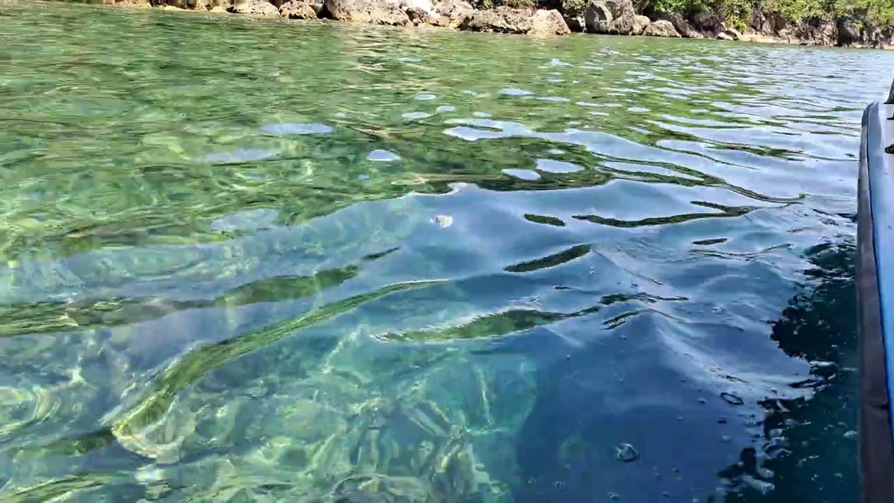 TAÑON STRAIT CORALS WATCHING ON A GLASS BOTTOM BOAT AT BOJO RIVER CRUISE IN ALOGUINSAN | KUAN
