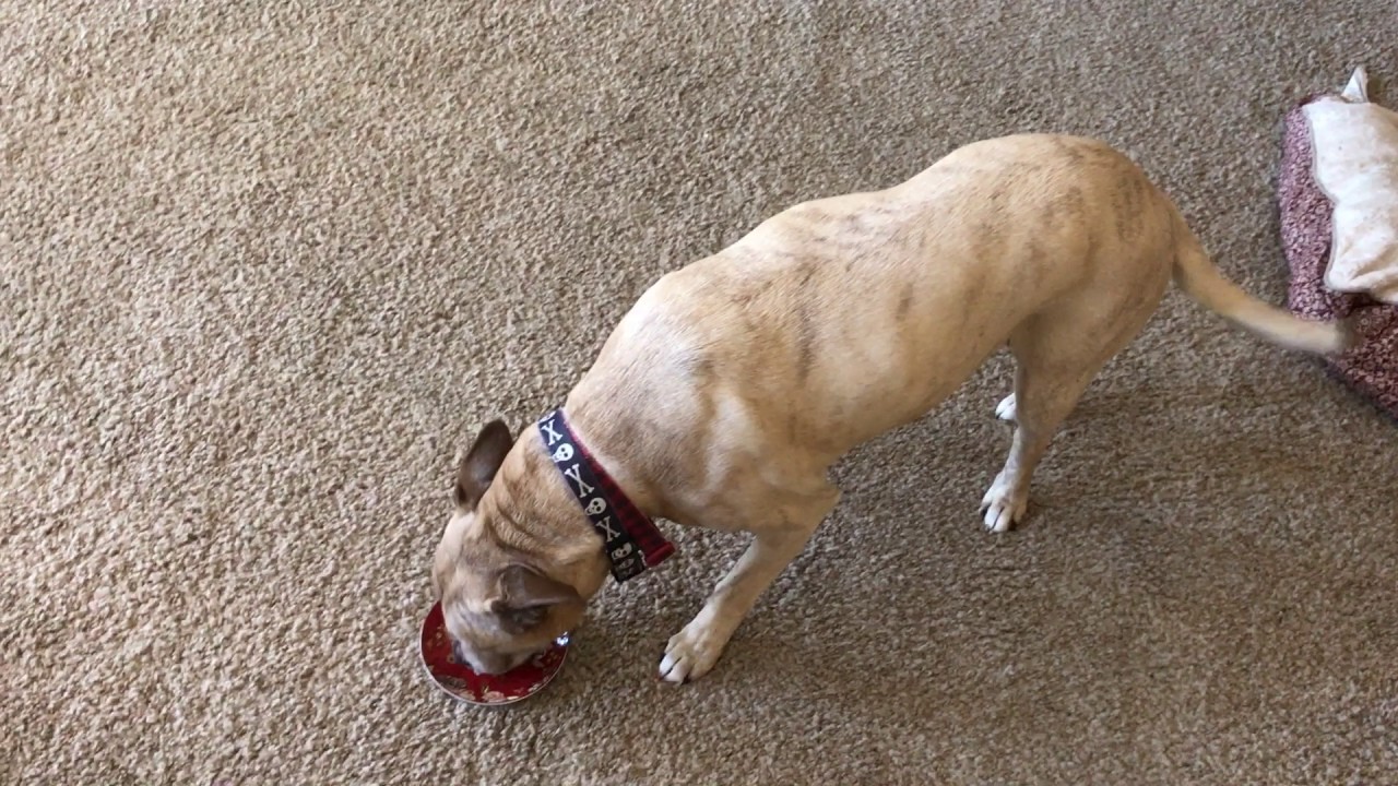 Titus Keating at Home