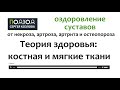 Теория здоровья суставов: костная и мягкие ткани. Асептический некроз, артроз/коксартроз, остеопороз