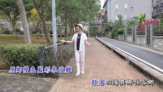 藍衫影 - 趙德武
