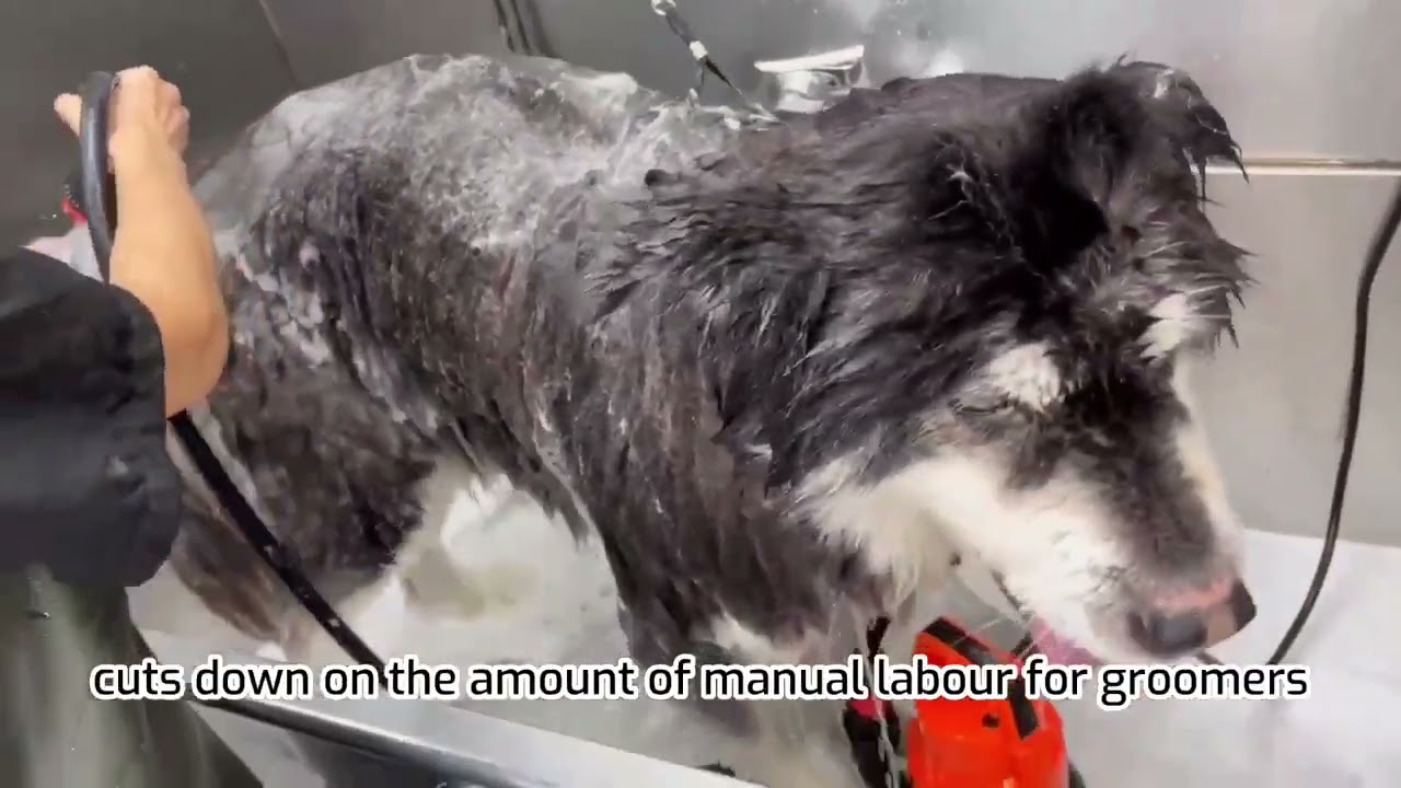 Give Your Large Dog a Bath With OPAWZ Pet Bathing System YouTube