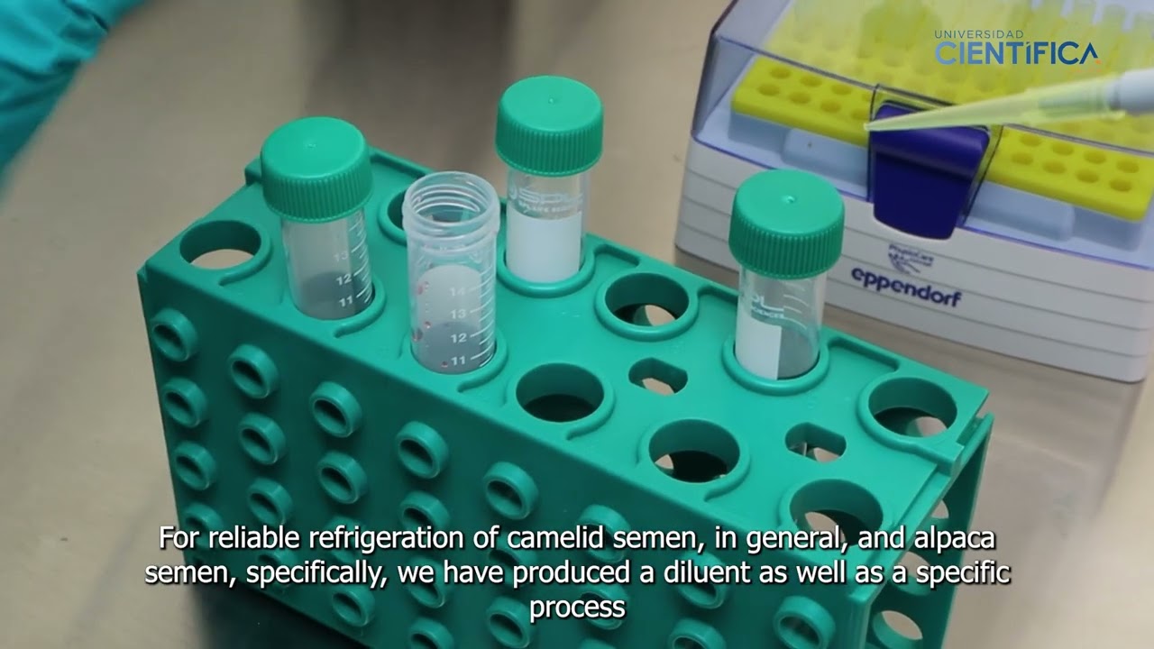 Cooling extender, an invention presented at the KIWIE 2024 | Universidad Científica del Sur