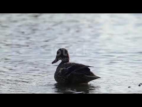 Качка. - YouTube