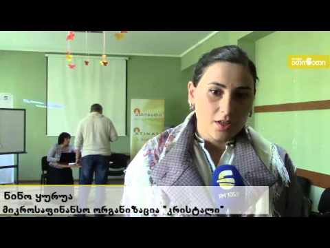 შეხვედრა საფინანსო ორგანიზაციებთან