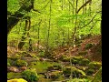 Native American Lands and Peaceful vibes