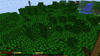 Minecraft Survival Games On LichCraft 1: First Record First Win!