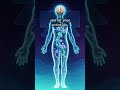 Did you know that while your entire body undergoes a remarkable cellular renovation, one crucial ...