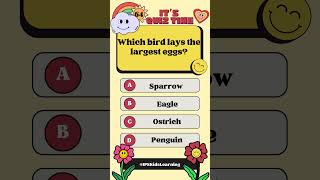 #GK - 64 Which bird lays the largest eggs #shorts #gkquiz