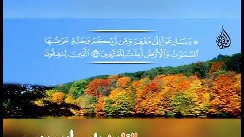 ما تيسر من سورة آل عمران بصوت هادئ أبو صهيب