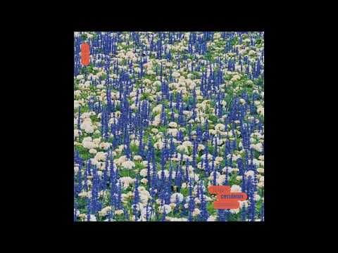 Jeigo — Jeigo - If Its Any Consolation