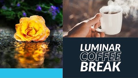 Luminar Coffee Break: Adding a creative touch of Bokeh