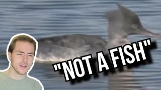 Fish Biologist Reacts To 