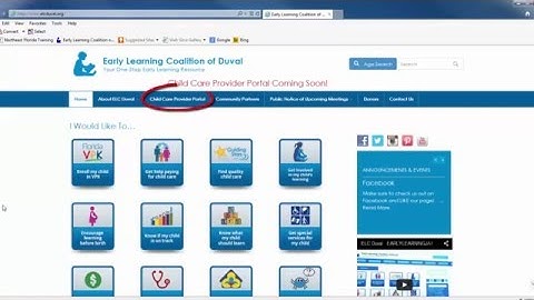 Provider Portal - Accessing the Provider Portal