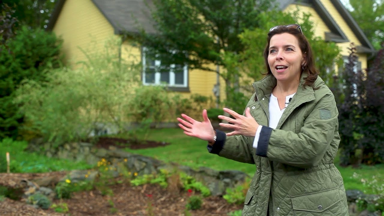 Pas sorcier d'aménager un jardin de pluie