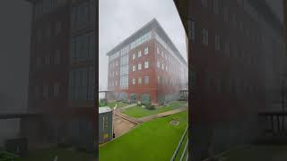 Hurricane Francine #shorts #short #hurricane
